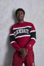 Load image into Gallery viewer, David Dobrik Campus Clickbait Sweater
